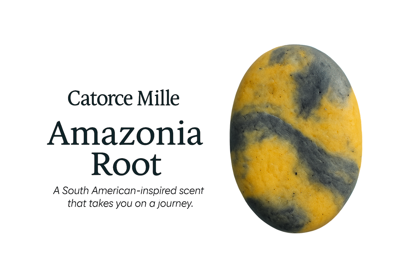 CM South-America – Amazonia Root