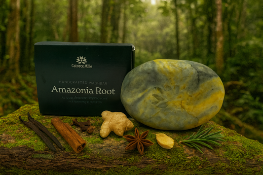 CM South-America – Amazonia Root