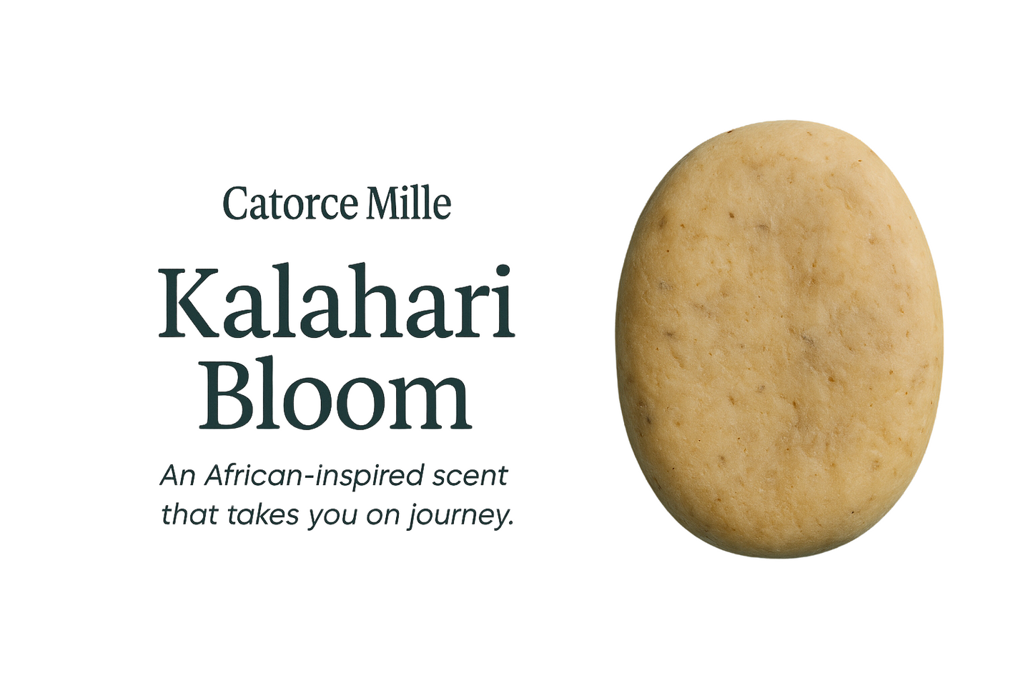 CM Africa – Kalahari Bloom